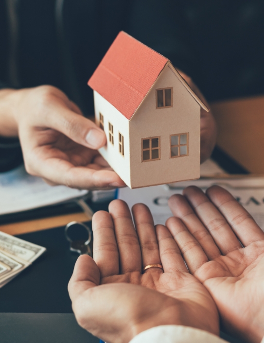 재산분할 관련 이미지