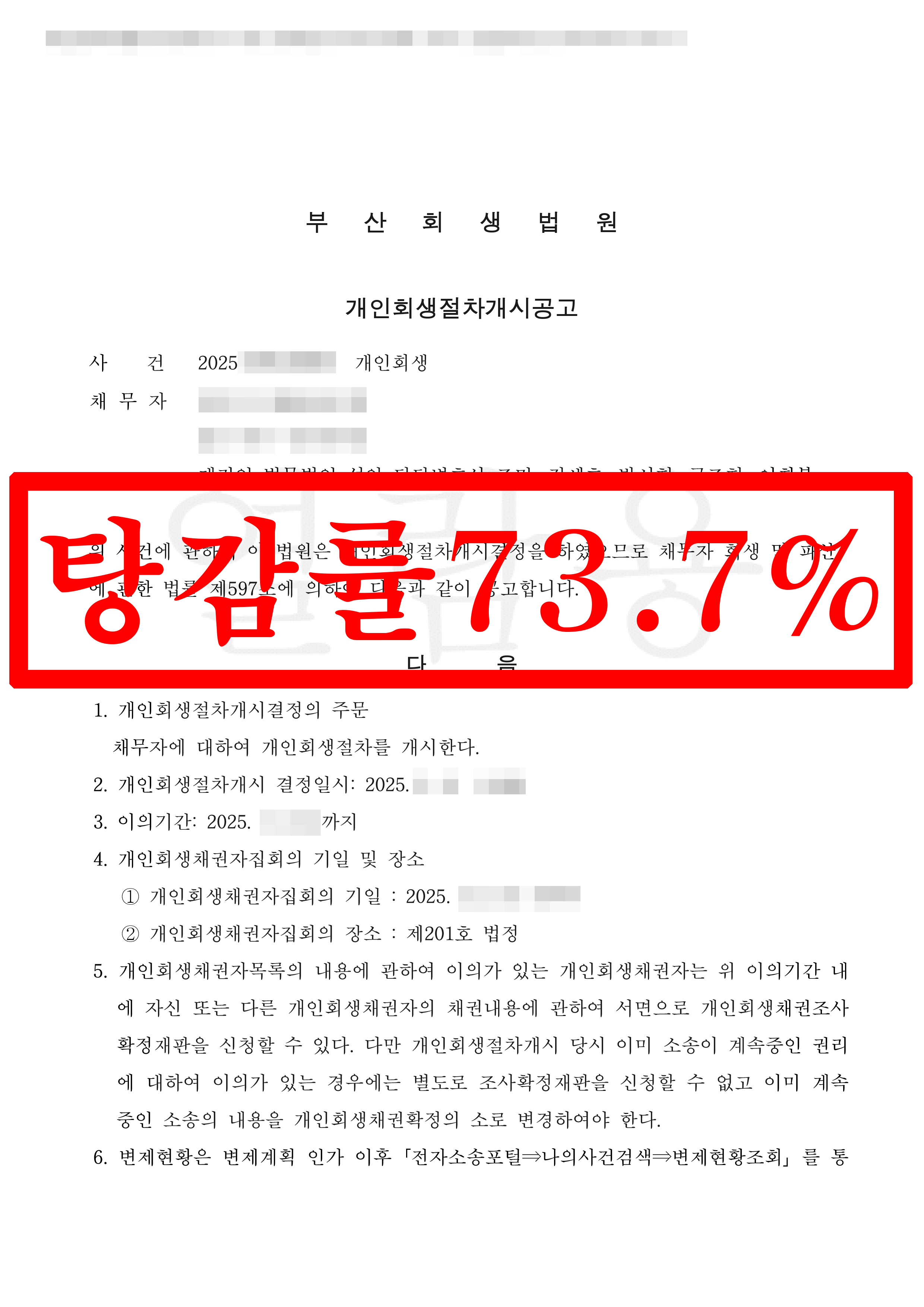 울산/이OO님/40대 여성/개인회생 개시결정